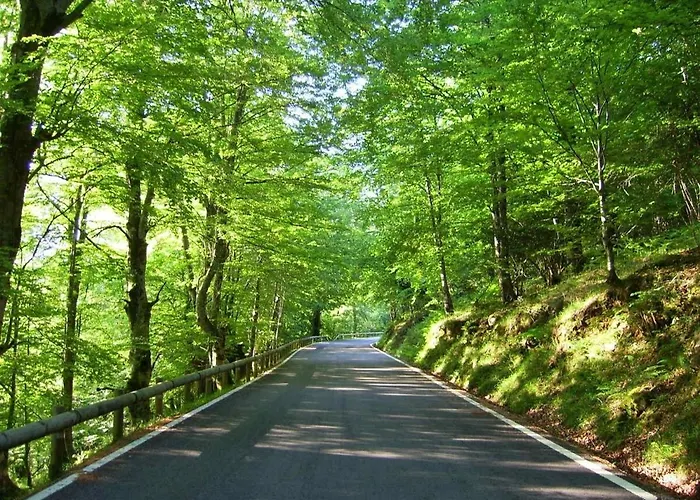 Casa Caborzal Holiday home *